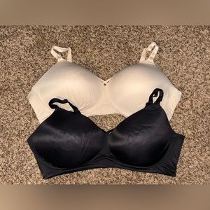 Torrid Bras